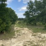 Taylor County Land For Sale