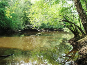 Creek at Ivey Springs Plantation