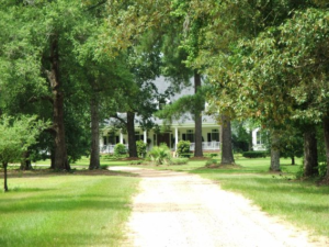 Ivey Springs Plantation House