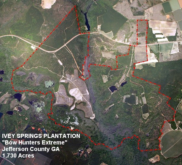 Ivey Springs Plantation, Jefferson County, GA Aerial Map