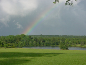Rainbow Over Pond