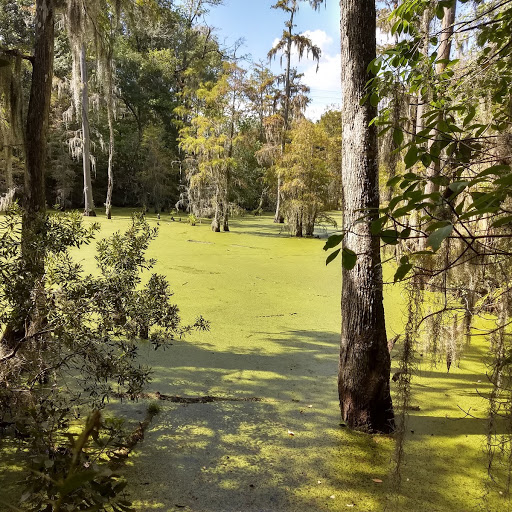 Thompson Duck Pond in Effingham County, Georgia