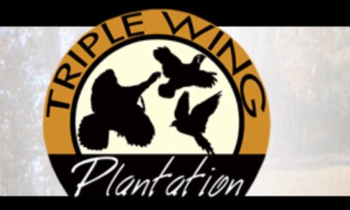 Triple Wing Plantation in Candler County, GA