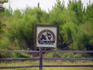 Triple Wing Plantation Sign with Logo in Candler County Georgia